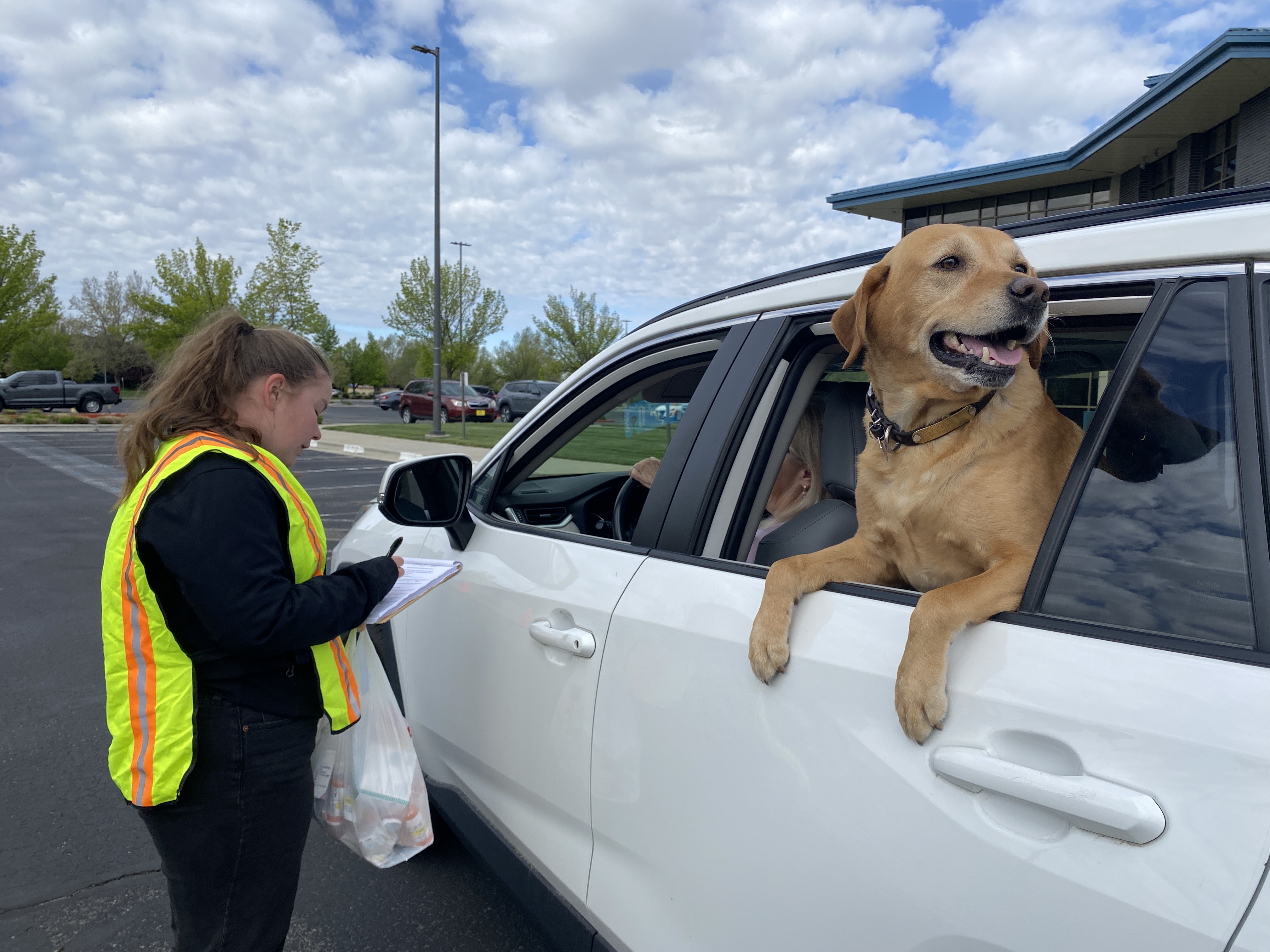 Driver drops off prescription medication at Take Back Day with a dog looking out the window.