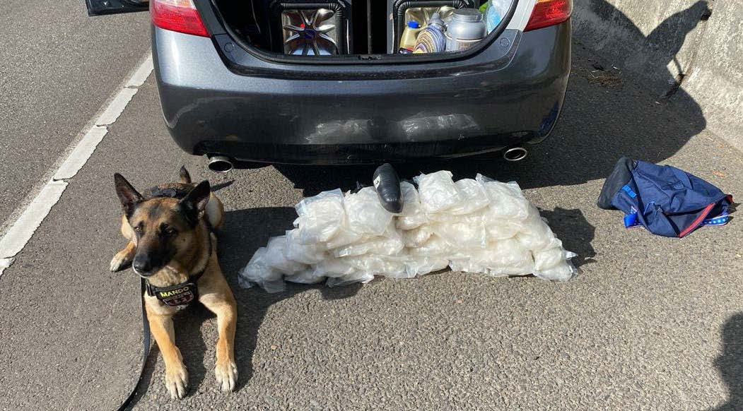 K9 with drugs seized from car