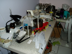 Anabolic Steroids Clandestine Conversion Laboratory Seized by DEA from Merced-Rusk.