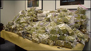 Marijuana seized from residence in Rockford, IL