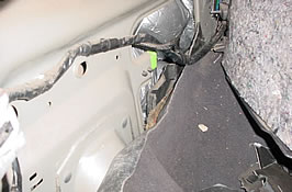 photo - caption below