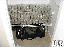 Some of the over $5 million in cash seized as part of Operation Imperial Emperor.