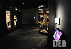 DEA and the Louisiana State Museum Open Powerful New Exhibit - Gallery