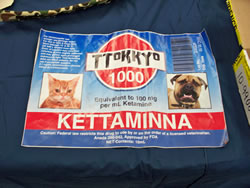 Evidence from the investigation