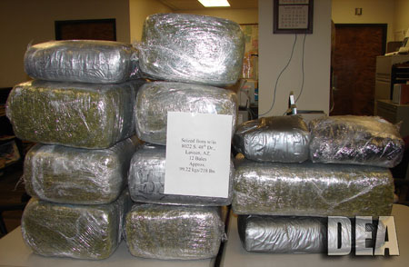 More than 450 pounds of marijuana seized. 