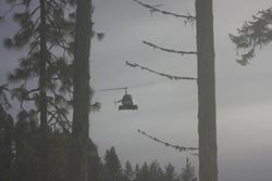 Cross Border Helicopter Drug Smuggling 