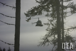 Robinson Helicopter in North Idaho (marijuana underneath helicopter)