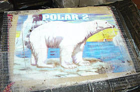 photo - caption below