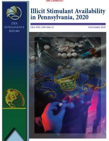 Intelligence Bulletin Cover Image