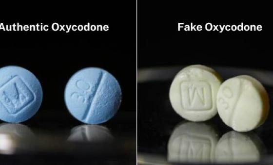 authentic oxycodone vs fake