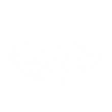 Houston Stadium