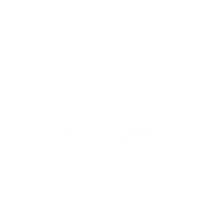 New York New Jersey Stadium