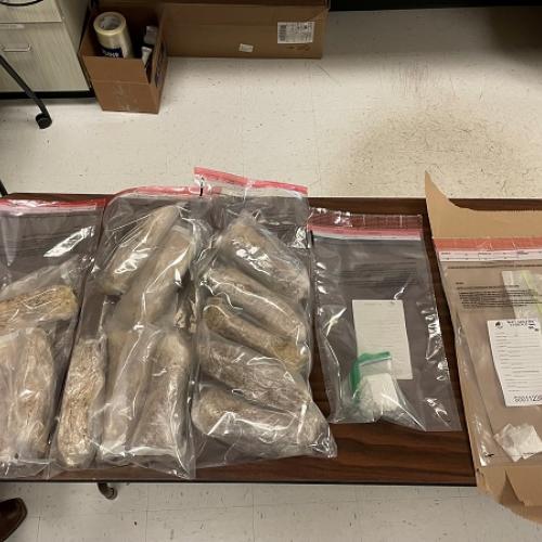 Drugs seized during investigation