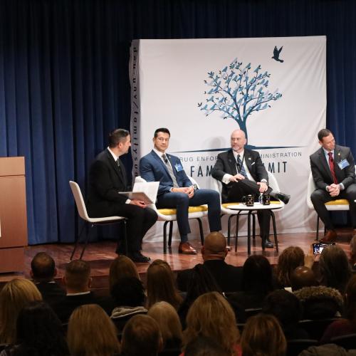 DEA 2024 National Family Summit-Panel