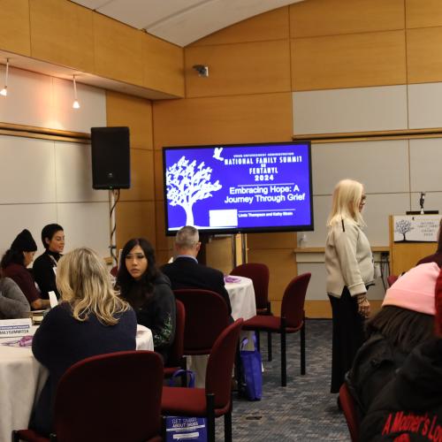 DEA 2024 National Family Summit-Heal Track