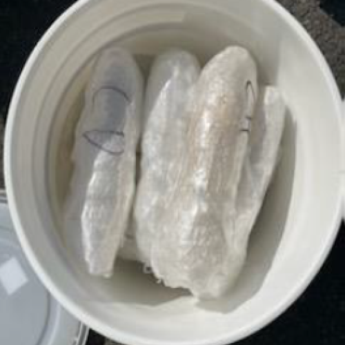 Seized bucket of meth