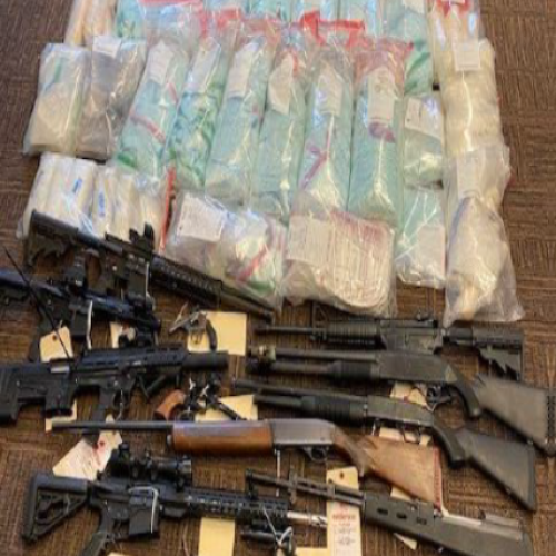 Seized drugs and firearms