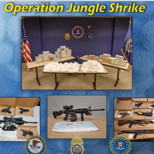 Seized drugs and firearms