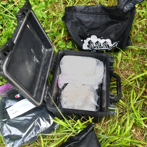 Central Indiana/ Louisville, Kentucky/ Phoenix, Arizona Evidence