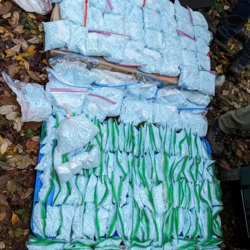 Fentanyl Seized During Investigation