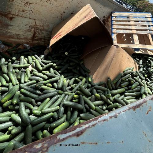 Cucumbers in dumpster copy