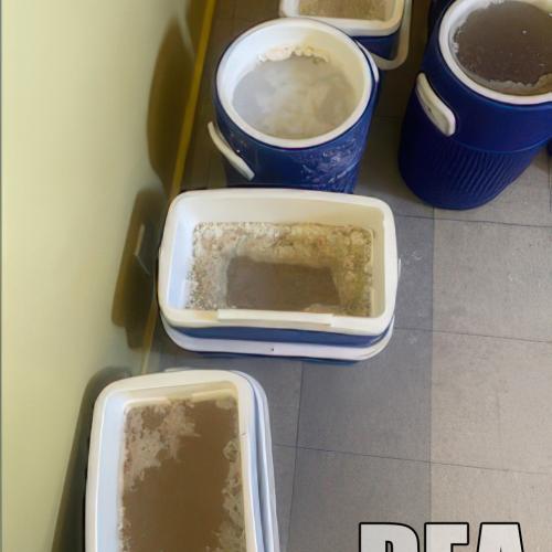 San Francisco Field Division Methamphetamine