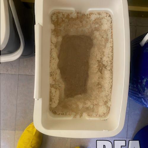 San Francisco Field Division Methamphetamine