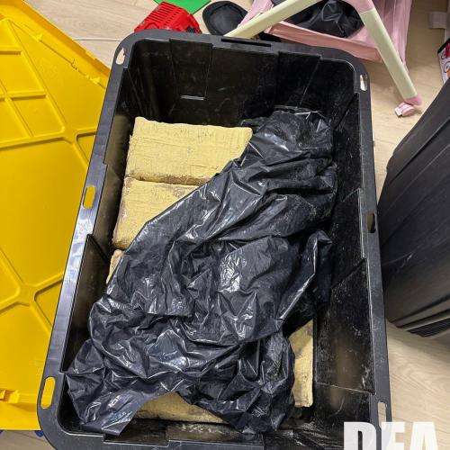 cjng cocaine seizure