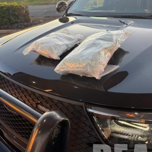 counterfeit M30 pills were carfentanil and filler, no fentanyl