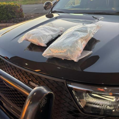 Seized Counterfeit M30 Pills Containing Carfentanil