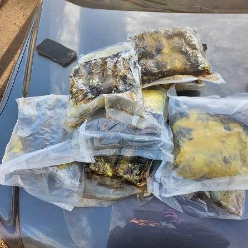Drugs seized during investigation.