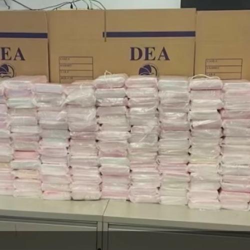 drug exhibit seizure photo