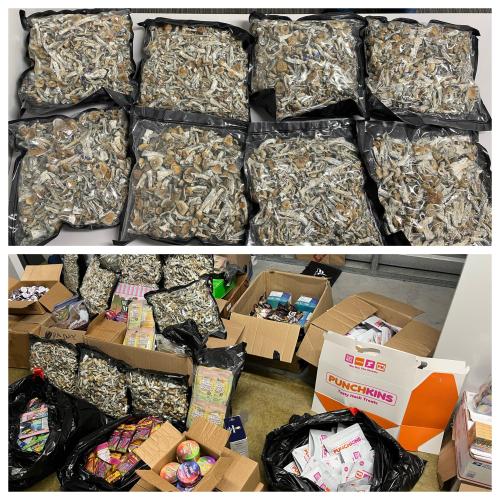 Seized marijuana and approximately four kilograms (over eight pounds) of psilocybin mushrooms