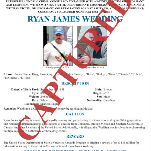 Ryan Wedding Captured Poster