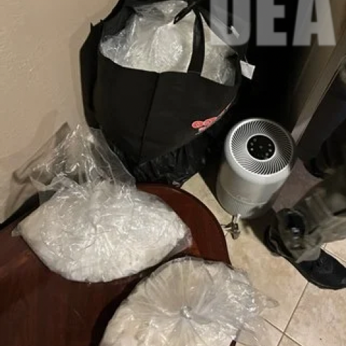 Drugs seized during search warrants