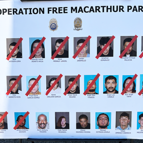 Operation Free Macarthur Park, LA takedown