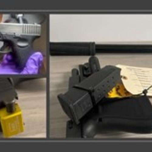 Operation Spring Cleaning Gun Seizure