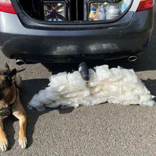 K9 with drugs seized from car