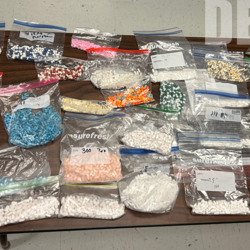 Seized Stolen Prescription Drugs