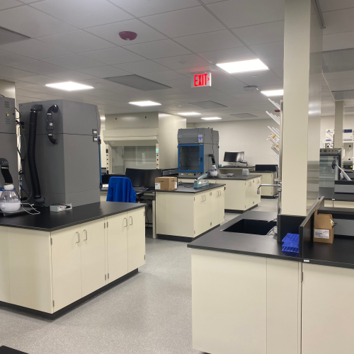 Londonberry - New England - Lab