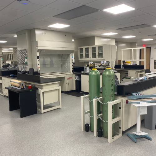 Londonberry - New England - Lab