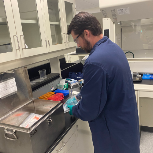 Londonberry - New England - Lab