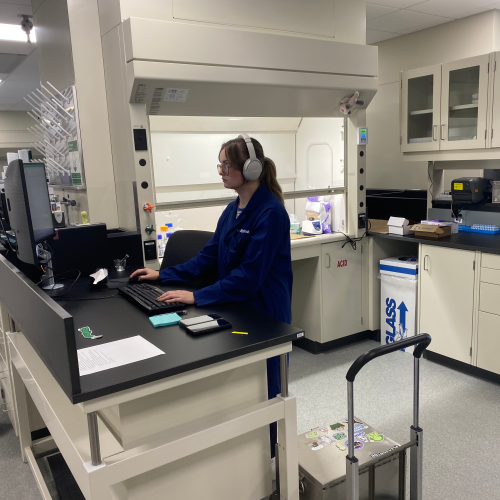 Londonberry - New England - Lab