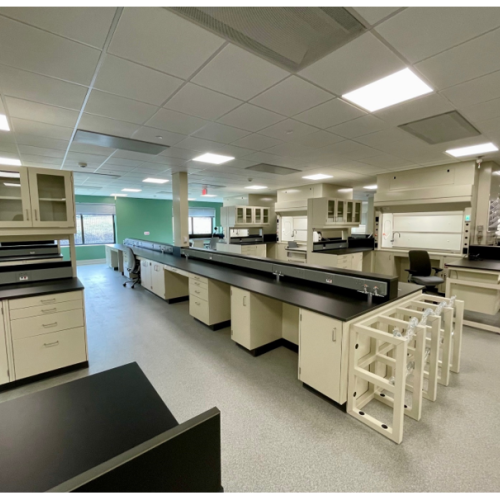 Londonberry - New England - Lab