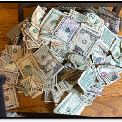 Cash from LIVIGNI's phone and icloud