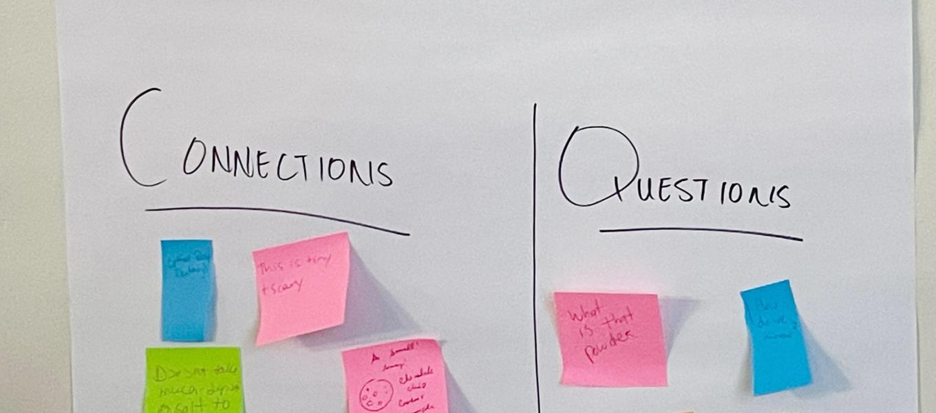 flipchart paper attached to wall, with columns labeled "connections" and "questions."