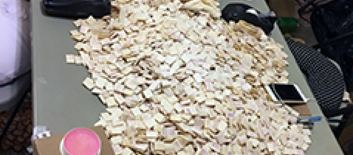 Agents, Investigators and Officer dismantled active heroin mill in New  York City.