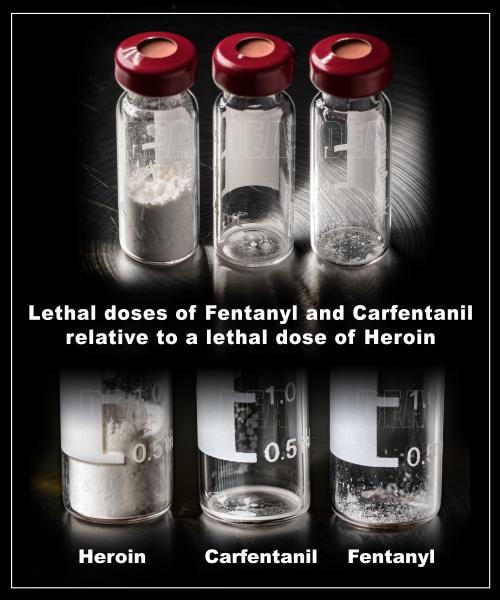 Fentanyl Carfanil Heroin Lethal Dose