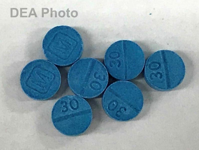 seized counterfeit pills
