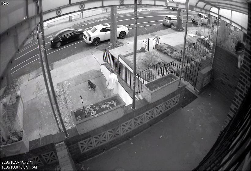 Defendant points gun at Task Force Officer in vehicle, bent elbow